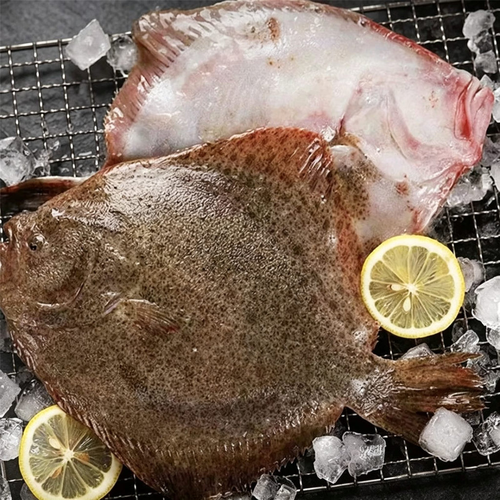 Frozen Large Turbot 500g