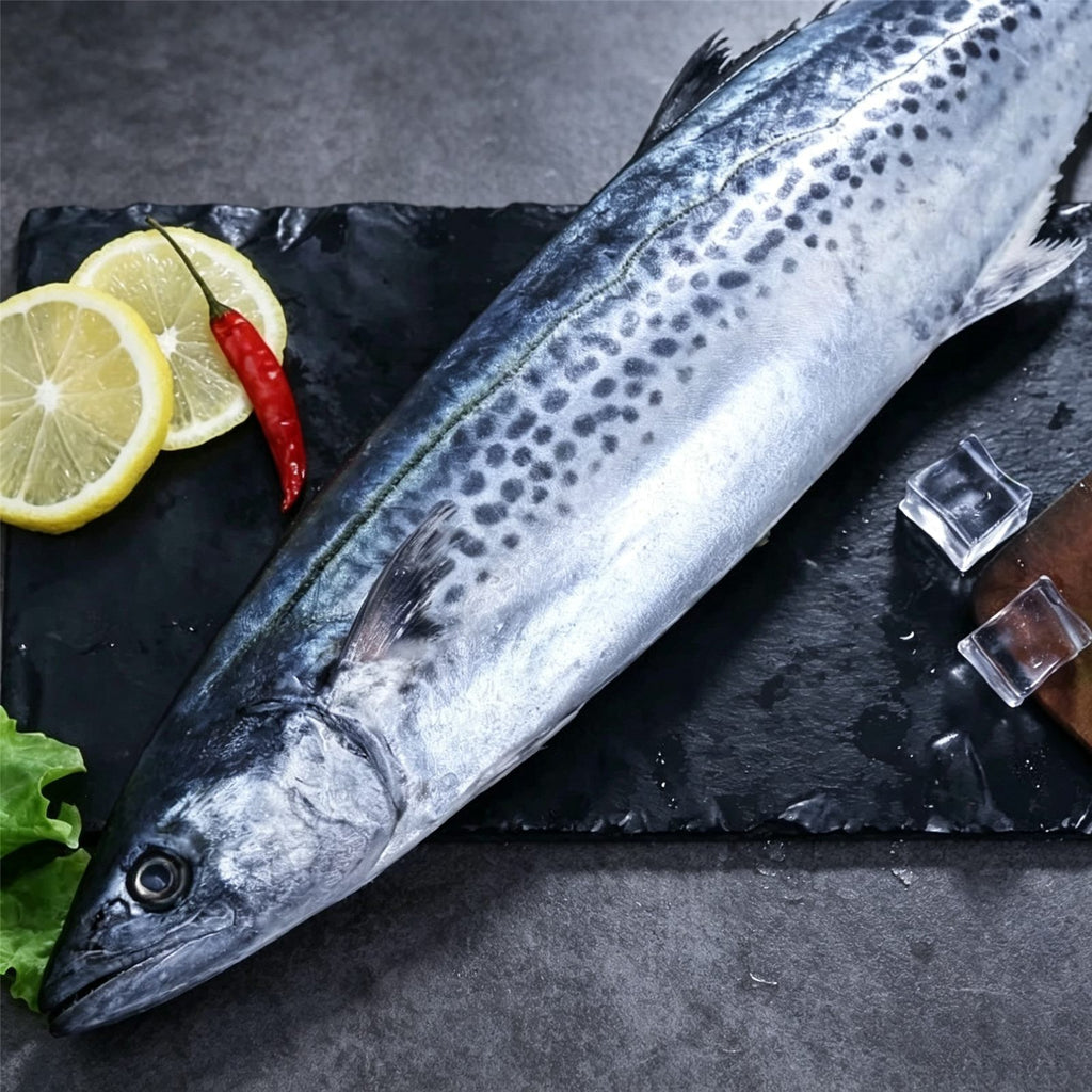 Whole Frozen Spanish Mackerel 500g