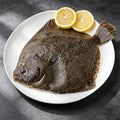 Frozen Large Turbot 500g