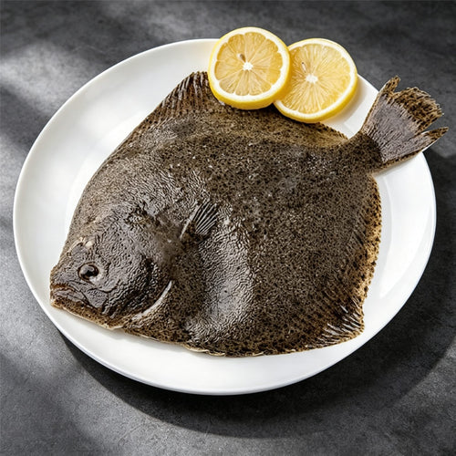 Frozen Large Turbot 500g
